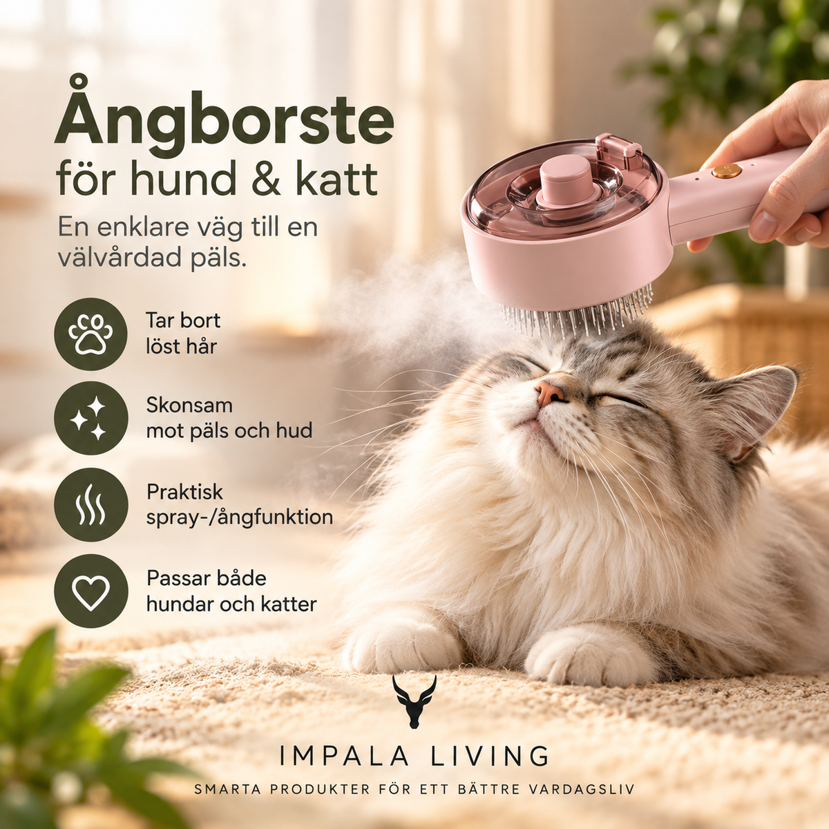 Husdjursborste