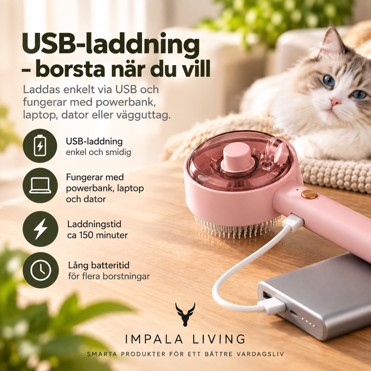 Husdjursborste
