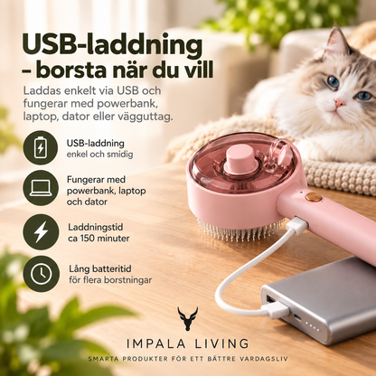 Husdjursborste
