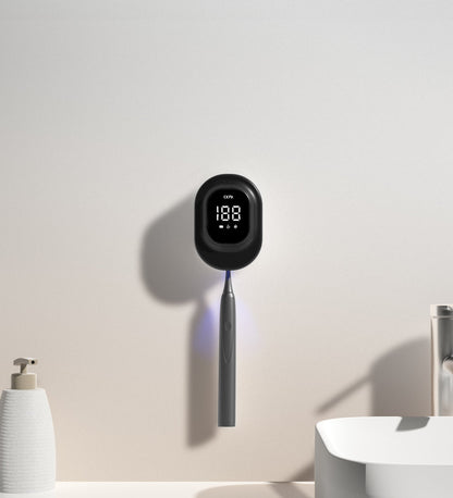 Tandborststerilisator