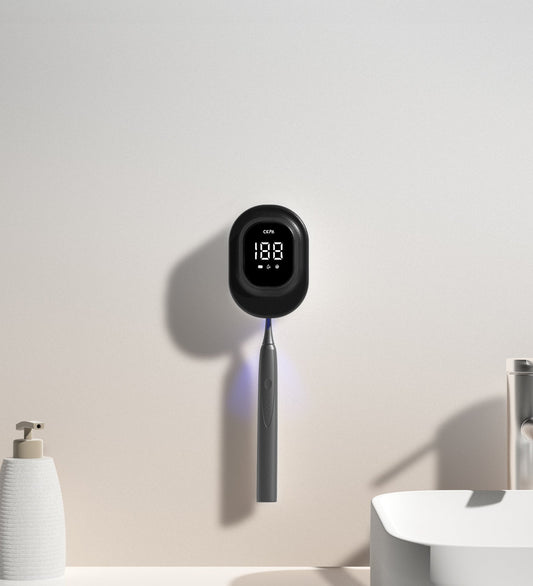 Tandborststerilisator