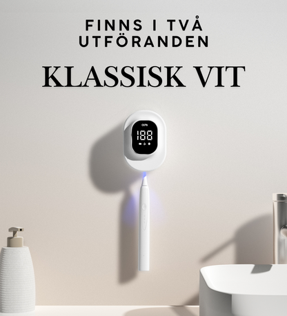 Tandborststerilisator