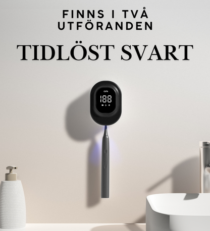 Tandborststerilisator