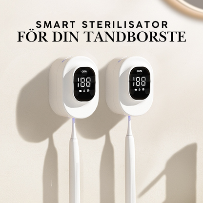 Tandborststerilisator